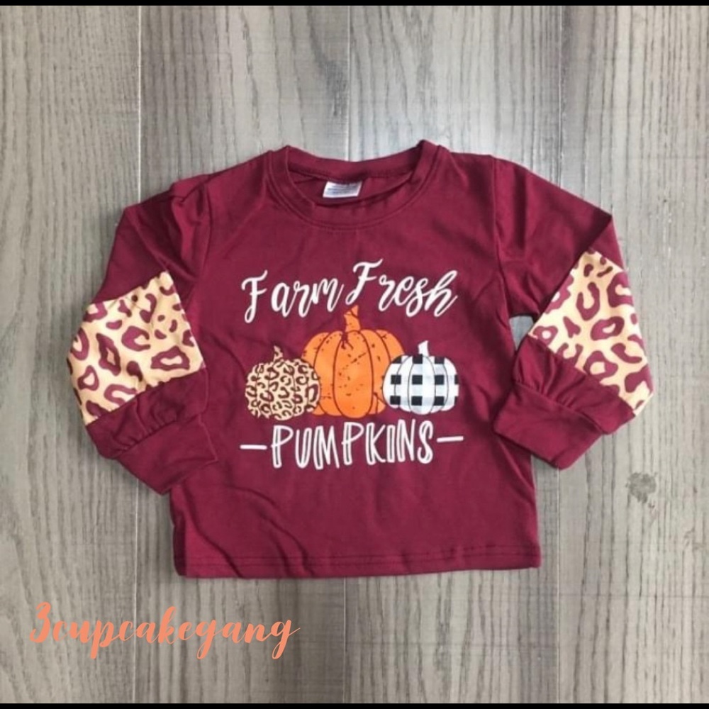 Farm Pumpkins top